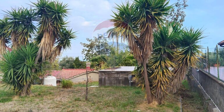 20251122122832-1002346-5