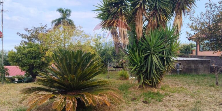 20251122122851-1002346-11