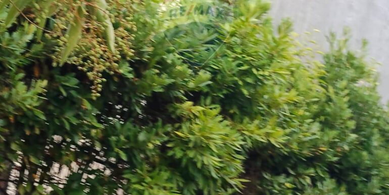 20251122122901-1002346-14