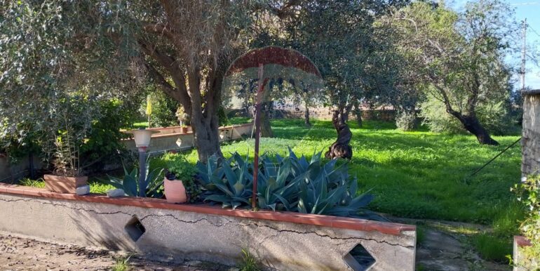 20251122123432-1002563-2