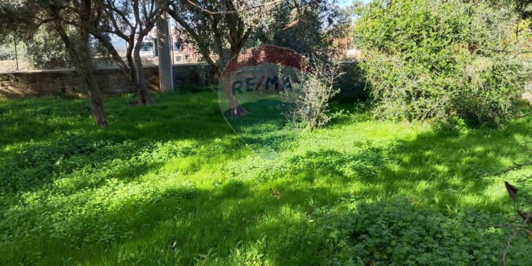 20251122123459-1002563-12