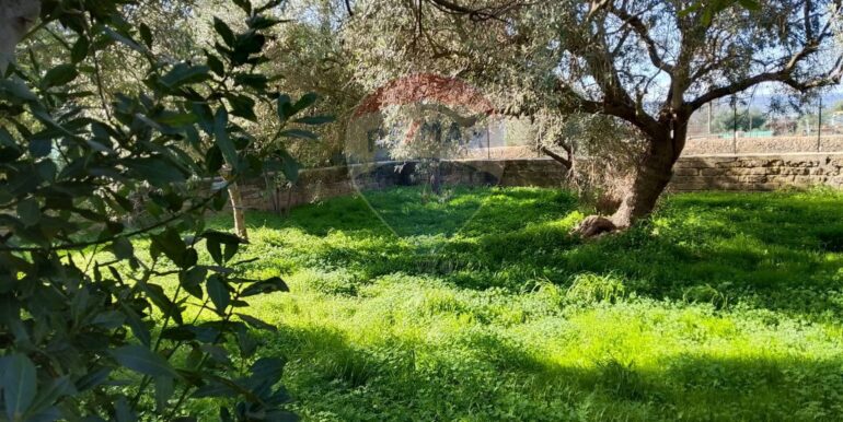 20251122123503-1002563-13