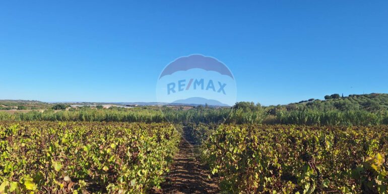 20251124121247-1002983-1