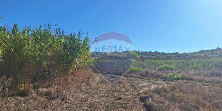 20251124121254-1002983-3