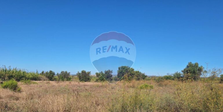 20251124121300-1002983-5