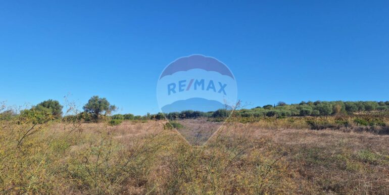 20251124121302-1002983-6