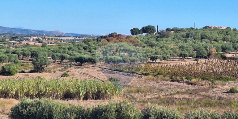 20251124121310-1002983-9