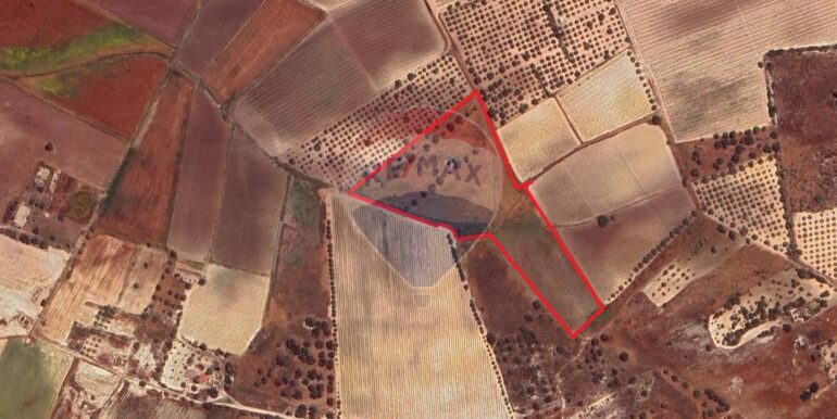 20251124122404-1002983-11