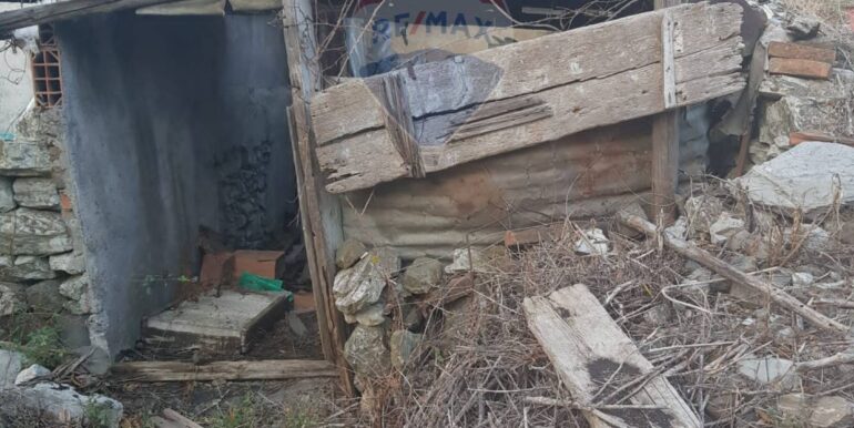 20251124144629-1003024-14