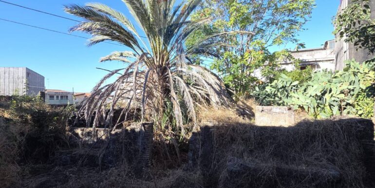 20251124154240-1003045-9