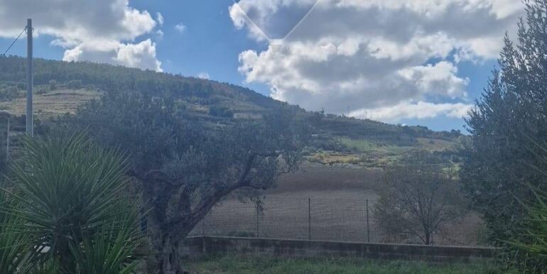 20251124155158-1003037-1