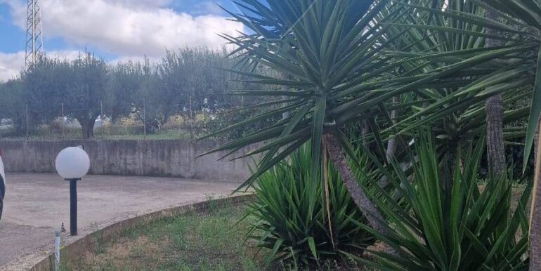 20251124155201-1003037-2