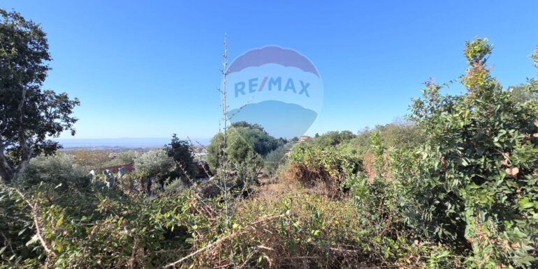 20251124160518-1003053-6