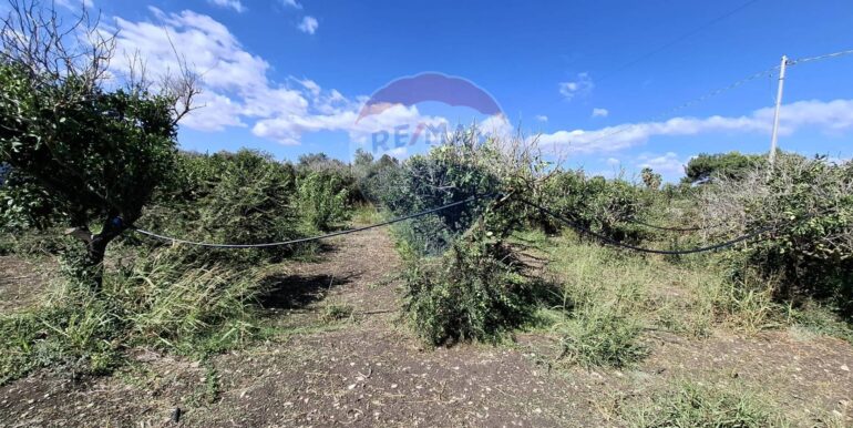 20251126170104-1003785-4