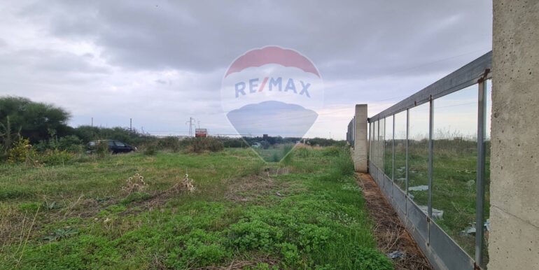 20251126174131-1003931-3