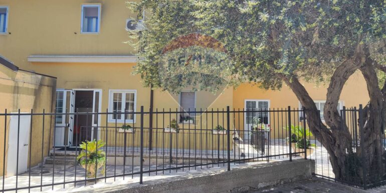 20251126183559-1003963-1