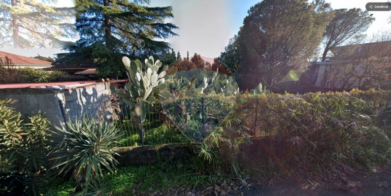 2025112690527-1003592-4