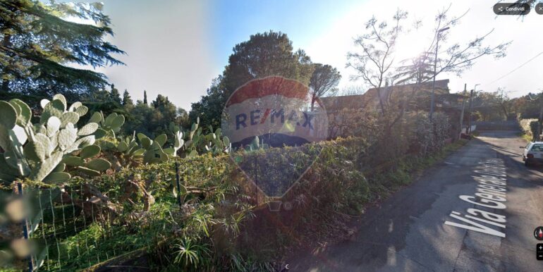 2025112691251-1003592-5