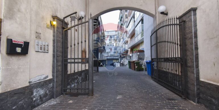 2025112693021-1002920-2