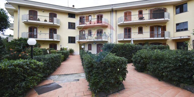 2025112693029-1002920-5