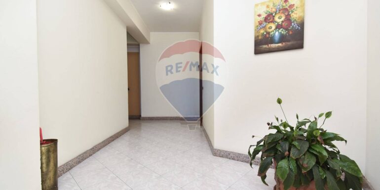 2025112693036-1002920-8