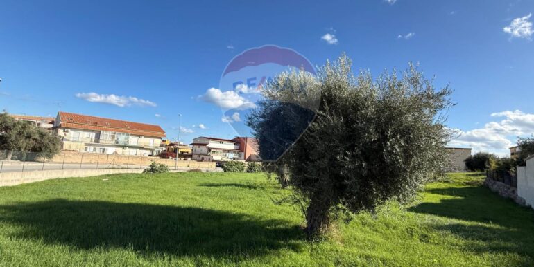 20251127165516-1004189-1