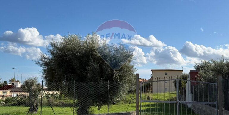 20251127165554-1004189-11