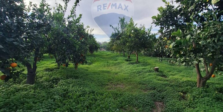 20251127181600-1004217-5