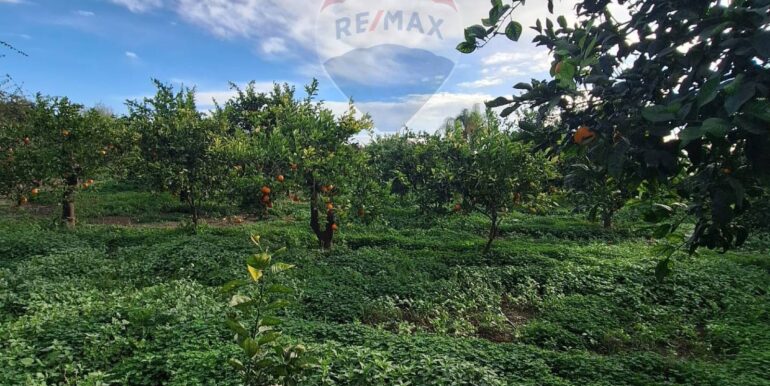 20251127181604-1004217-6