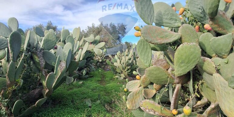 20251127181607-1004217-7