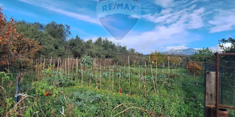 20251127181616-1004217-9