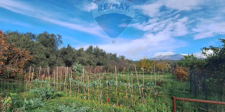 20251127181619-1004217-10