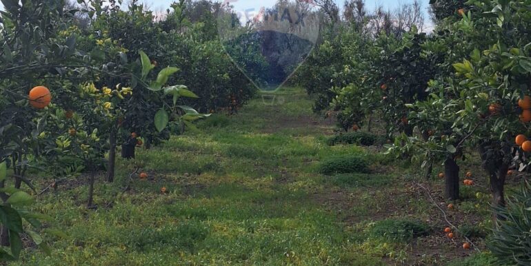 20251127181638-1004217-15