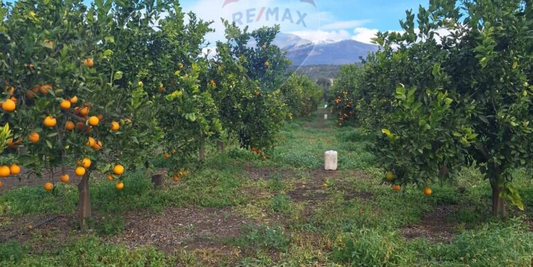 20251127181701-1004217-20