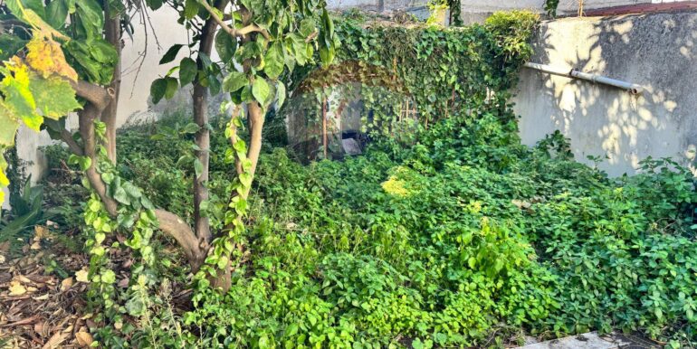 20251128115651-1005023-17