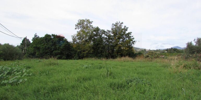 20251128125150-1005042-3