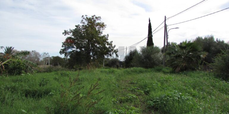 20251128125153-1005042-4