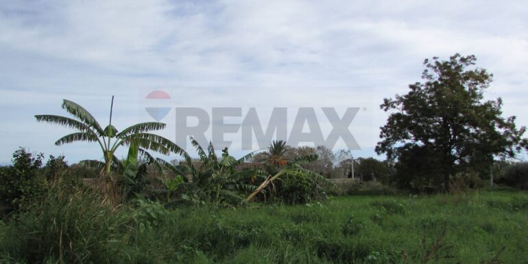 20251128125155-1005042-5