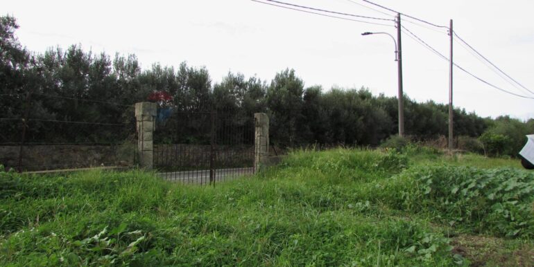 20251128125201-1005042-7