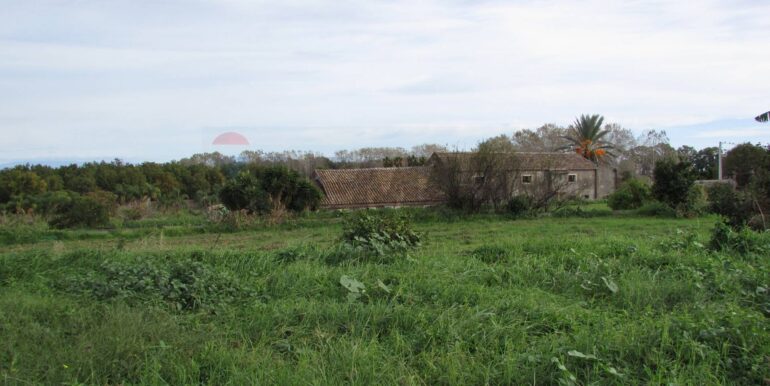 20251128125204-1005042-8