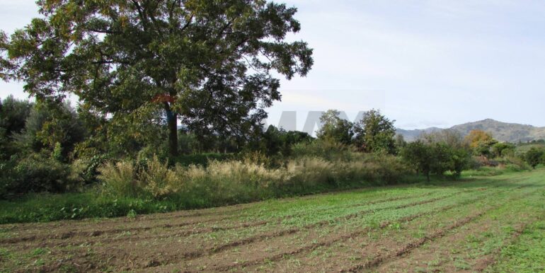 20251128125223-1005042-15