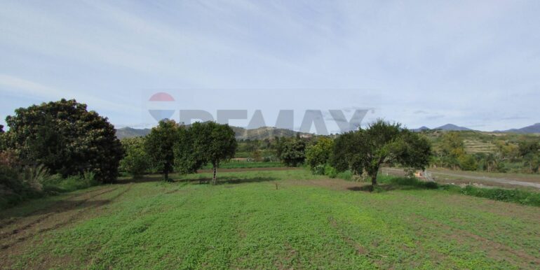 20251128125235-1005042-19