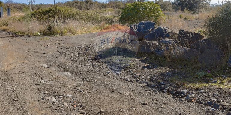 20251128152048-1005348-4