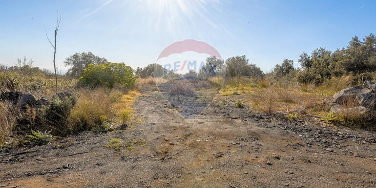 20251128152051-1005348-5