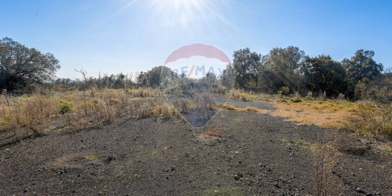 20251128152054-1005348-6