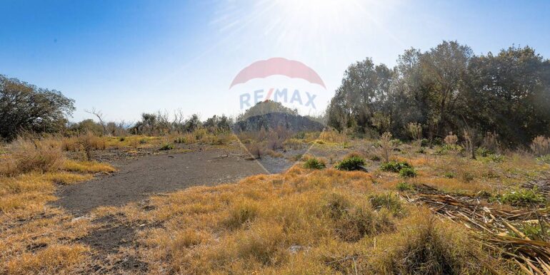 20251128152058-1005348-7