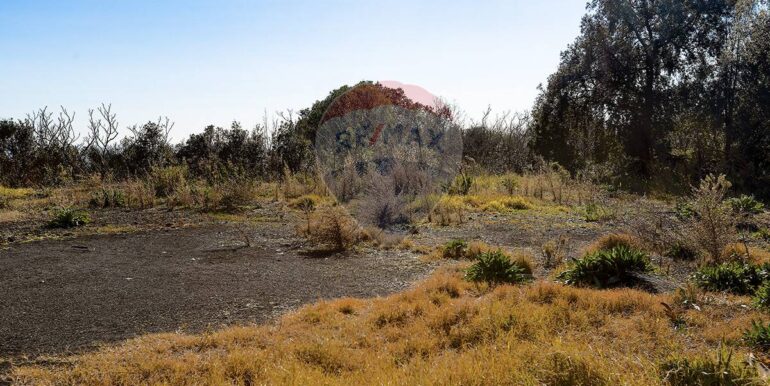 20251128152102-1005348-8