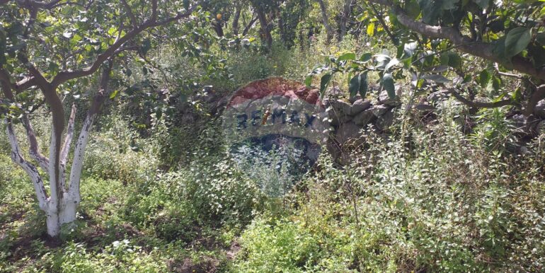 2025112883438-1004246-6