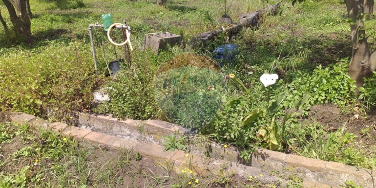 2025112883438-1004246-8