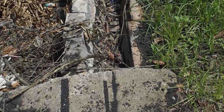 2025112883439-1004246-10